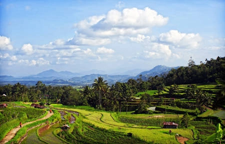 Làng Pariangan ở Indonesia