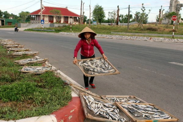 Đánh bắt ngoài khơi là nam thì lao động trong bờ chủ yếu là nữ - Ảnh: NINH NGUYỄN Đánh bắt ngoài khơi là nam thì lao động trong bờ chủ yếu là nữ - Ảnh: NINH NGUYỄN