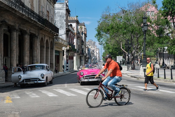 Con đường với những chiếc xe cổ mang màu sắc tươi trẻ tại trung tâm thủ đô La Habana. Con đường với những chiếc xe cổ mang màu sắc tươi trẻ tại trung tâm thủ đô La Habana.