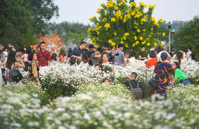 Bãi đá sông Hồng là địa điểm nhiều du khách tìm đến vào mỗi mùa hoa do có không gian rộng, nhiều loại hoa. Thế nhưng, khu vực này vẫn bị quá tải du khách đổ về. Giờ hoạt động tại đây từ khoảng 8h đến 18h. Bãi đá sông Hồng là địa điểm nhiều du khách tìm đến vào mỗi mùa hoa do có không gian rộng, nhiều loại hoa. Thế nhưng, khu vực này vẫn bị quá tải du khách đổ về. Giờ hoạt động tại đây từ khoảng 8h đến 18h.