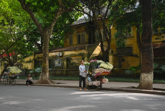 Nếu tiện đi qua phố Phan Đình Phùng, du khách sẽ gặp nhiều xe hoa tập trung ở đoạn giao với phố Hoàng Diệu và đoạn giao phố Lý Nam Đế. Du khách nên đến đây từ 8h30 đến 18h để mua được những bó cúc họa mi dọc trên phố. Nếu tiện đi qua phố Phan Đình Phùng, du khách sẽ gặp nhiều xe hoa tập trung ở đoạn giao với phố Hoàng Diệu và đoạn giao phố Lý Nam Đế. Du khách nên đến đây từ 8h30 đến 18h để mua được những bó cúc họa mi dọc trên phố.