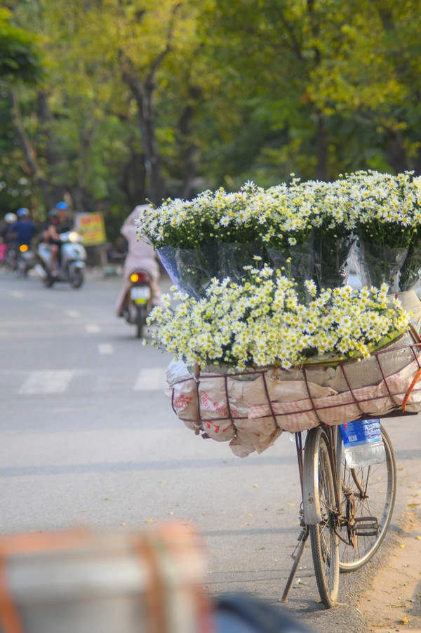Các xe hoa đứng ở đầu Yên Phụ giao với Nghi Tàm từ 6h sáng. Đây là nơi dễ dàng mua hoa theo mùa nhất trong các con phố ở Hà Nội. Các xe hoa đứng ở đầu Yên Phụ giao với Nghi Tàm từ 6h sáng. Đây là nơi dễ dàng mua hoa theo mùa nhất trong các con phố ở Hà Nội.