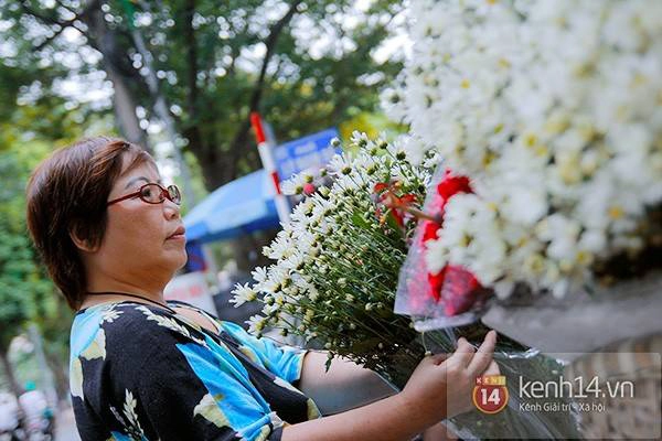 Với nhiều người, cúc họa mi vẫn là nét chấm phá vô cùng đặc biệt, làm nên một Hà Nội rất đỗi bình dị.