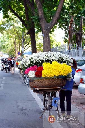 Nhìn thấy những đóa hoa trắng ngần li ti ấy là đã ngỡ như chạm tay vào mùa thu...