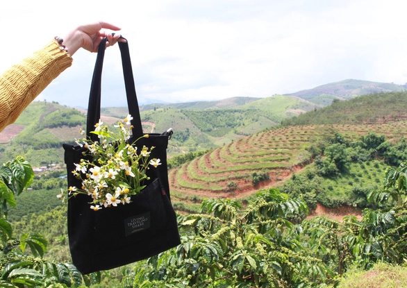 Những triền dốc đầy hoa dại