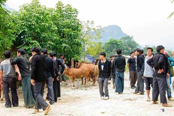 Từ thành phố Hà Giang đến Minh Ngọc (huyện Bắc Mê) rồi tới Du Già (huyện Yên Minh) dài khoảng 70 km, là đường đèo núi nhưng mặt đường tốt. Du khách nên đi sớm, tới đây ăn sáng và tham dự phiên chợ Du Già (họp đông nhất sáng thứ 6 hàng tuần). Không quá lớn nhưng đây là một phiên chợ hoang sơ vùng cao.