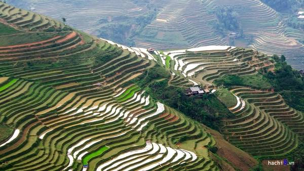 Tháng 4, 5 là đầu mùa mưa, cũng là lúc những thửa ruộng bậc thang tại Mậu Duệ tích nước tạo thành khung cảnh đặc trưng mà dân du lịch vẫn gọi là "mùa đổ nước". Mặt ruộng loang loáng nước phản chiếu ánh mặt trời, đan xen là những ô ruộng xanh đã cấy hay còn đỏ đất tạo thành bức tranh muôn màu.