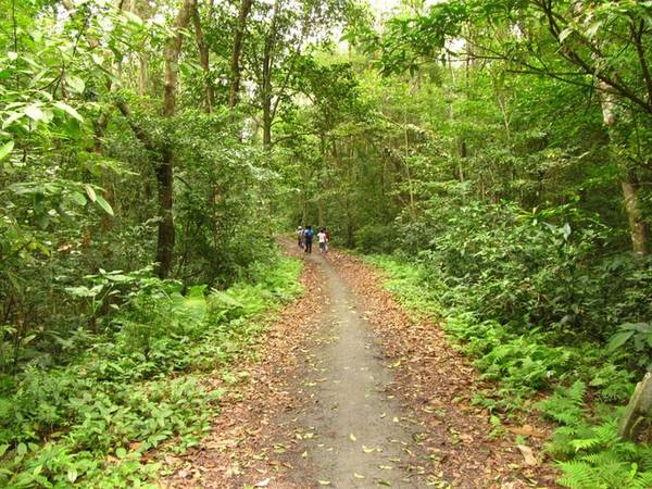 Trước khi trekking bạn phải trình báo ban quản lý VQG (xác nhận tên tuổi, nơi ở, số điện thoại liên hệ). Đây là khu dự trữ sinh quyển quý giá, địa hình đa dạng, hiểm trở nên việc trải nghiệm trong rừng cần được kiểm soát chặt chẽ. Trước khi trekking bạn phải trình báo ban quản lý VQG (xác nhận tên tuổi, nơi ở, số điện thoại liên hệ). Đây là khu dự trữ sinh quyển quý giá, địa hình đa dạng, hiểm trở nên việc trải nghiệm trong rừng cần được kiểm soát chặt chẽ.