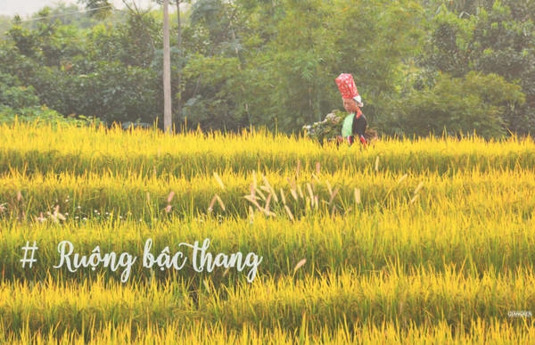 Là nơi sinh sống của đồng bào Dao, Sán Chỉ, Tày,… Bình Liêu có nhiều ruộng bậc thang đẹp, nhuộm sắc vàng mỗi mùa lúa chín, tạo nên nét riêng dù không kỳ vĩ như Tây Bắc. Là nơi sinh sống của đồng bào Dao, Sán Chỉ, Tày,… Bình Liêu có nhiều ruộng bậc thang đẹp, nhuộm sắc vàng mỗi mùa lúa chín, tạo nên nét riêng dù không kỳ vĩ như Tây Bắc.