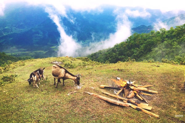 Khu vực núi Cao Xiêm, Cao Ly khá thích hợp để các bạn có một buổi cắm trại đáng nhớ, nơi những “đàn dê trắng nhởn nhơ quanh đồi”. Khu vực núi Cao Xiêm, Cao Ly khá thích hợp để các bạn có một buổi cắm trại đáng nhớ, nơi những “đàn dê trắng nhởn nhơ quanh đồi”.