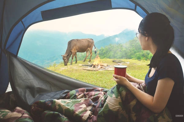 Tuy nhiên, ở đây còn khá hoang vu và là khu vực biên giới nên cần chú ý chọn địa điểm, có liên hệ với người dân địa phương. Tuy nhiên, ở đây còn khá hoang vu và là khu vực biên giới nên cần chú ý chọn địa điểm, có liên hệ với người dân địa phương.