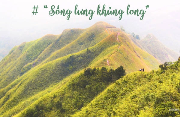 Bạn không nên bỏ qua cột mốc 1300 đẹp nhất trong mùa cỏ lau trắng xóa, nổi tiếng bởi đường trek mốc khá khó khăn, được coi là “sống lưng khủng long” của Đông Bắc. Bạn không nên bỏ qua cột mốc 1300 đẹp nhất trong mùa cỏ lau trắng xóa, nổi tiếng bởi đường trek mốc khá khó khăn, được coi là “sống lưng khủng long” của Đông Bắc.