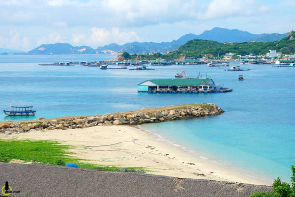 Nằm cách Vịnh Vĩnh Hy chừng 10km, bãi Kinh là một bãi tắm nổi tiếng khác của cung đường Vĩnh Hy - Bình Lập, đây cũng chính là bền thuyền để xuất phát sang đảo Bình Hưng, một vựa nuôi tôm hùm của tỉnh Khánh Hòa. Chỉ mất chừng 10.000đ để du khách mua vé sang đảo, hoặc có thể thưởng thức hải sản ngon rẻ ngay tại bến thuyền, nơi các nhà bè đậu san sát. Nằm cách Vịnh Vĩnh Hy chừng 10km, bãi Kinh là một bãi tắm nổi tiếng khác của cung đường Vĩnh Hy - Bình Lập, đây cũng chính là bền thuyền để xuất phát sang đảo Bình Hưng, một vựa nuôi tôm hùm của tỉnh Khánh Hòa. Chỉ mất chừng 10.000đ để du khách mua vé sang đảo, hoặc có thể thưởng thức hải sản ngon rẻ ngay tại bến thuyền, nơi các nhà bè đậu san sát.