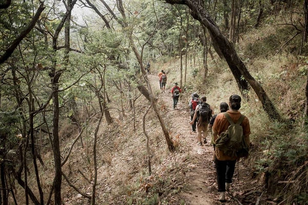 Đây là một vị trí đẹp để hạ trại, nhưng lưu ý nên tránh xa suối một chút, gần phía đường mòn phòng khi trời tối, phía trước không có đường mòn sẽ rất dễ bị lạc. Đây là một vị trí đẹp để hạ trại, nhưng lưu ý nên tránh xa suối một chút, gần phía đường mòn phòng khi trời tối, phía trước không có đường mòn sẽ rất dễ bị lạc.