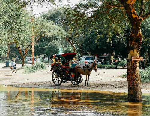 Một chiếc xe ngựa dùng để chở khách rong chơi. Một chiếc xe ngựa dùng để chở khách rong chơi.