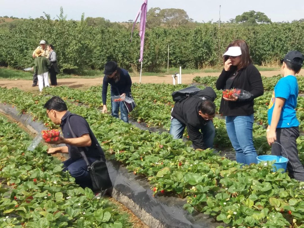 Cứ vài tuần, những người dân du mục di chuyển từ đồng cỏ này sang đồng cỏ khác, khoảng 5-10 lần mỗi năm. Cứ vài tuần, những người dân du mục di chuyển từ đồng cỏ này sang đồng cỏ khác, khoảng 5-10 lần mỗi năm.