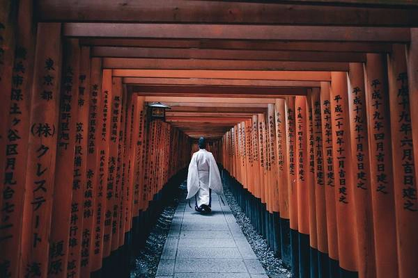 Ngôi đền Fushimi Inari Taisha mang vẻ đẹp vừa cổ kính, vừa hiện đại vì được bảo tồn rất tốt. Nhiều doanh nghiệp đóng góp tu bổ đền và những lối đi trong đền.