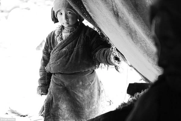 Sinh ra trong một gia đình du mục sống ở cao nguyên Chang Tang trên dãy Himalayas, Jimmai là một phần của lối sống đang ngày dần mai một. Sinh ra trong một gia đình du mục sống ở cao nguyên Chang Tang trên dãy Himalayas, Jimmai là một phần của lối sống đang ngày dần mai một.