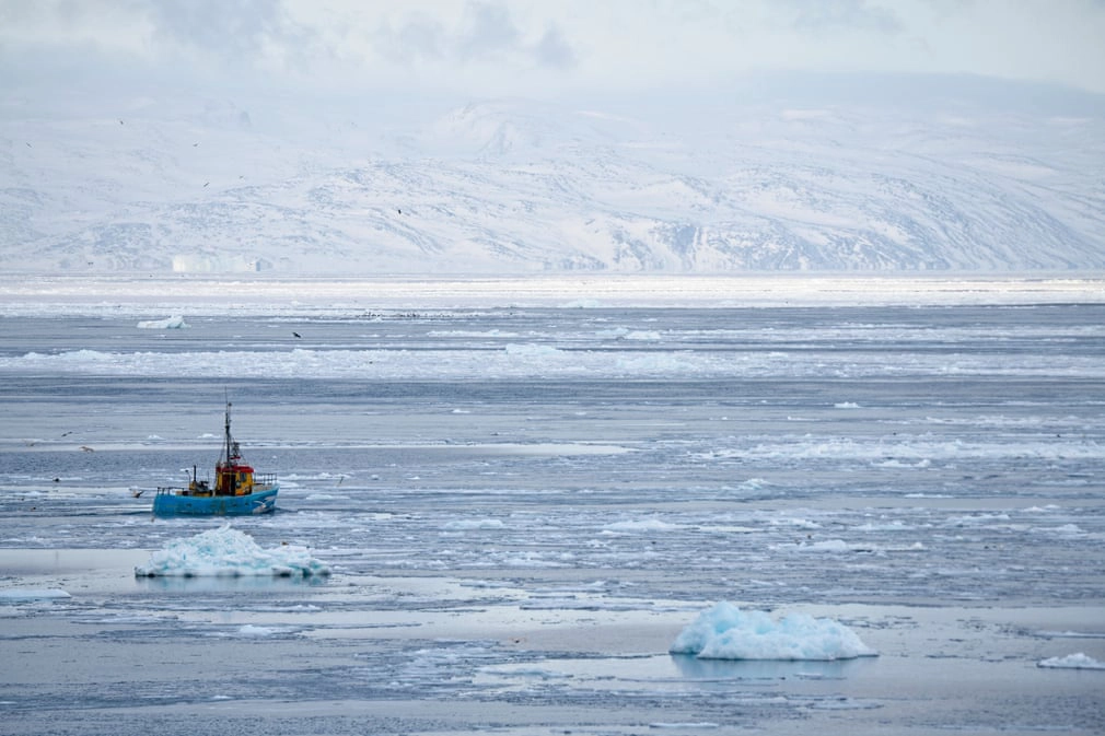 Từ Ilulissat, những chiếc thuyền đánh cá ra biển hoặc vào vịnh Disko lân cận để bắt cá tuyết, cá hồi biển và cá bơn.