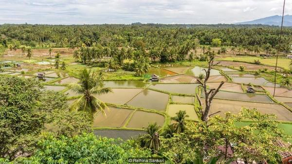 Theo truyền thuyết, giữa thế kỷ 12, vua Maharajo Dirajo, người thành lập vương quốc Koto Batu, qua đời và để lại 3 người con trai còn thơ dại và 3 người vợ trẻ. Người vợ đầu tiên, Puti Indo Jalito, đã dạy dỗ những đứa trẻ và cai quản vương quốc, tạo tiền đề cho một xã hội mẫu hệ như ngày nay ở Tây Sumatra. Theo truyền thuyết, giữa thế kỷ 12, vua Maharajo Dirajo, người thành lập vương quốc Koto Batu, qua đời và để lại 3 người con trai còn thơ dại và 3 người vợ trẻ. Người vợ đầu tiên, Puti Indo Jalito, đã dạy dỗ những đứa trẻ và cai quản vương quốc, tạo tiền đề cho một xã hội mẫu hệ như ngày nay ở Tây Sumatra.