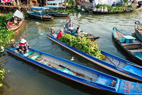 Chúng tôi dậy từ sớm để bắt đầu chuyến khám phá làng cá bè. Ghe thuyền đã tấp nập ở một bến thuyền phía sau chợ Châu Đốc. Chúng tôi dậy từ sớm để bắt đầu chuyến khám phá làng cá bè. Ghe thuyền đã tấp nập ở một bến thuyền phía sau chợ Châu Đốc.
