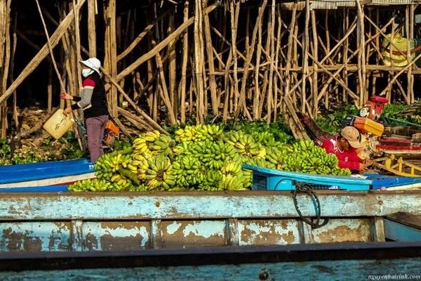 Ghe chở chuối về chợ. Ghe chở chuối về chợ.