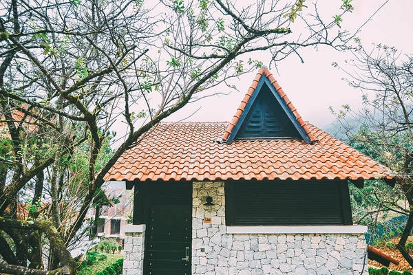 Ảnh: Jade Hill