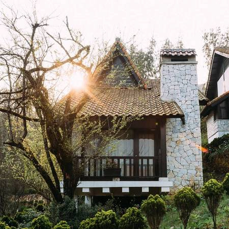 Ảnh: Jade Hill