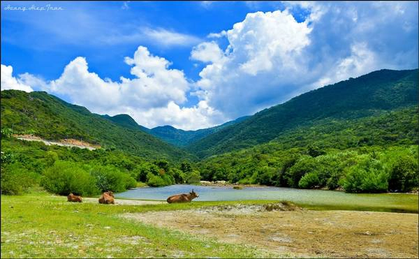 Đứng từ bãi biển nhìn lên sẽ thấy bao bọc xung quanh là núi. Ảnh: Hoàng Hiệp Trần