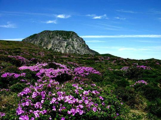 Thiên đường Jeju