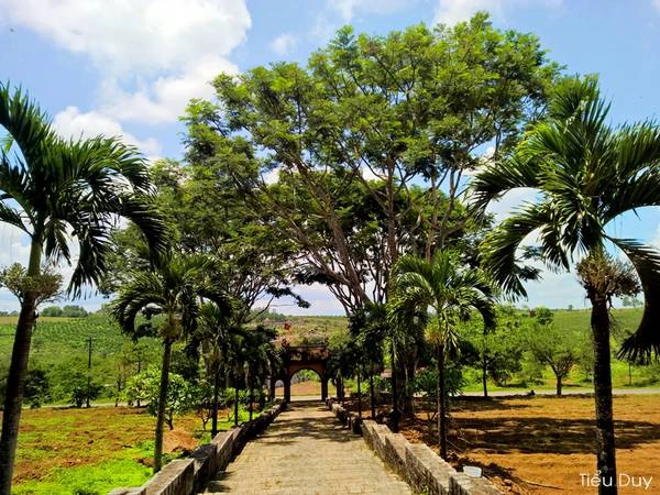 Ảnh: Tiểu Duy Ảnh: Tiểu Duy