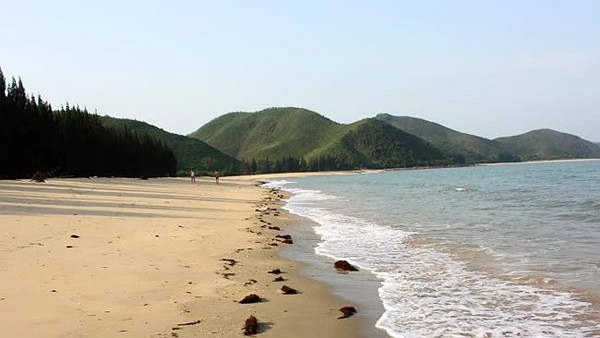 Bãi cát dài trắng mịn hoang sơ bên hàng phi lao xanh rì ngút tầm mắt. Bãi cát dài trắng mịn hoang sơ bên hàng phi lao xanh rì ngút tầm mắt.