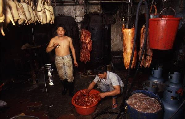Với những người làm nghề chế biến thịt gia súc, việc không có luật lệ càng trở nên quan trọng để dễ bề hoạt động.