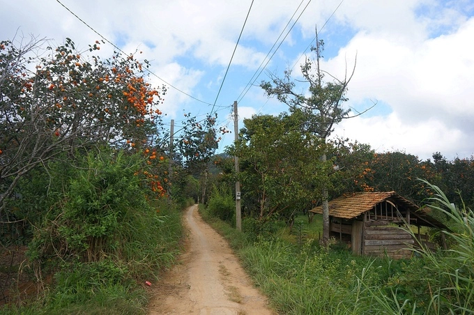 Thị trấn D'ran (huyện Đơn Dương, tỉnh Lâm Đồng) vẫn là nơi vắng bóng du khách, êm ả nép mình bên hồ Đa Nhim. Nếu là người yêu thích sự yên bình, nét hoài cổ lãng mạn thì thị trấn lưng đèo này xứng đáng dành ra một vài ngày để dạo chơi.