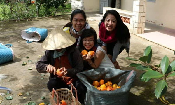 Hồng ăn liền tại vườn thì không còn gì thú vị bằng - Ảnh: Thu Anh Hồng ăn liền tại vườn thì không còn gì thú vị bằng - Ảnh: Thu Anh