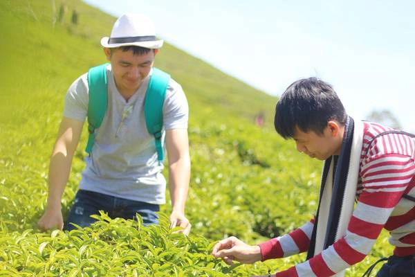 Ngoài ra ấn tượng của tôi về Đà Lạt mùa hè khi lên đồi chè Cầu Đất, dù hơi nóng như bù lại ánh sáng rất đẹp... Ngoài ra ấn tượng của tôi về Đà Lạt mùa hè khi lên đồi chè Cầu Đất, dù hơi nóng như bù lại ánh sáng rất đẹp...