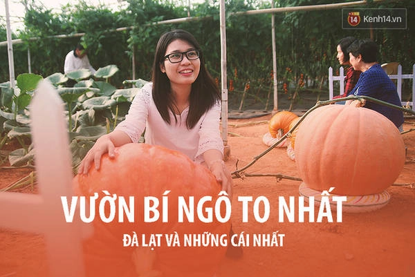 da-lat-noi-ma-ban-chang-the-ngo-co-vo-van-nhung-cai-nhat-ivivu-28