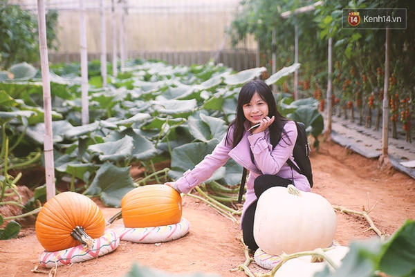 da-lat-noi-ma-ban-chang-the-ngo-co-vo-van-nhung-cai-nhat-ivivu-30