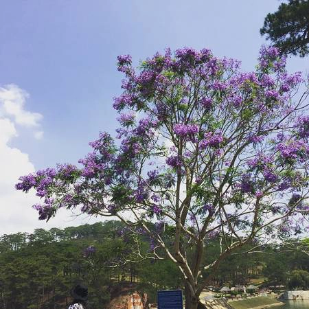 Ảnh: @hanhphan92 Ảnh: @hanhphan92