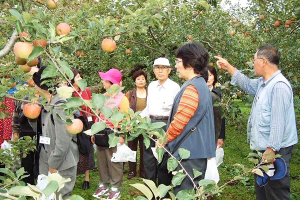 Ngoài việc thu hoạch táo cung cấp cho trong và ngoài nước thì tỉnh Aomori còn được biết đến như là một thiên đường du lịch tuyệt vời. Nơi đây nổi tiếng bởi những khu vườn táo bạt ngàn trải dài hút mắt, những hoạt động vui chơi, hái táo thu hút rất đông khách du lịch tới tham quan. Ngoài việc thu hoạch táo cung cấp cho trong và ngoài nước thì tỉnh Aomori còn được biết đến như là một thiên đường du lịch tuyệt vời. Nơi đây nổi tiếng bởi những khu vườn táo bạt ngàn trải dài hút mắt, những hoạt động vui chơi, hái táo thu hút rất đông khách du lịch tới tham quan.