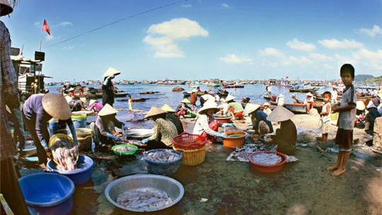 Hải sản tươi chợ Dương Đông