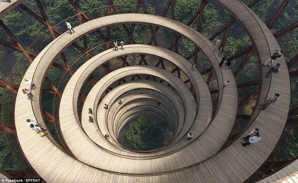 Dự án này có tên là Treetop Experience được xây dựng bên trong khuôn viên Camp Adventure Resort thuộc khu bảo tồn thiên nhiên Gisselfeld Klosters Skove, phía Nam Copenhagen, Đan Mạch.