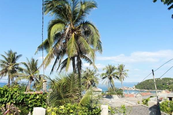 Đảo chưa phát triển du lịch nên chỉ có 3 homestay hoặc cắm trại ở trên đồi núi. Nhóm chúng tôi toàn nữ nên chọn ở homestay với giá 50.000 đồng một người một đêm, với các chất lượng dịch vụ nói chung là tuyệt vời, xứng đáng 9 điểm. Trong ảnh là nơi homestay nhìn ra biển.