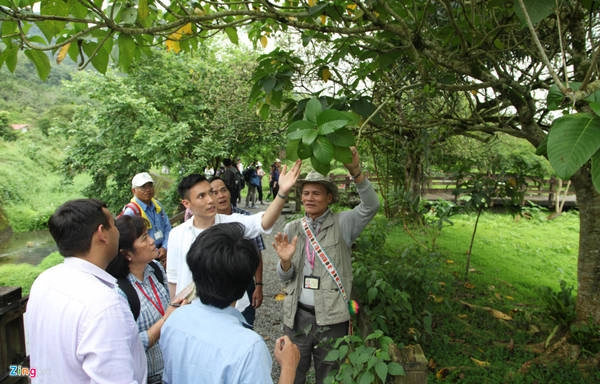 Ngày nay, nhờ sự nỗ lực của chính quyền địa phương và người dân bản địa, khu sinh thái đầm lầy này đã trở thành một địa danh du lịch lý tưởng thu hút nhiều khách du lịch khi đến Hoa Liên.