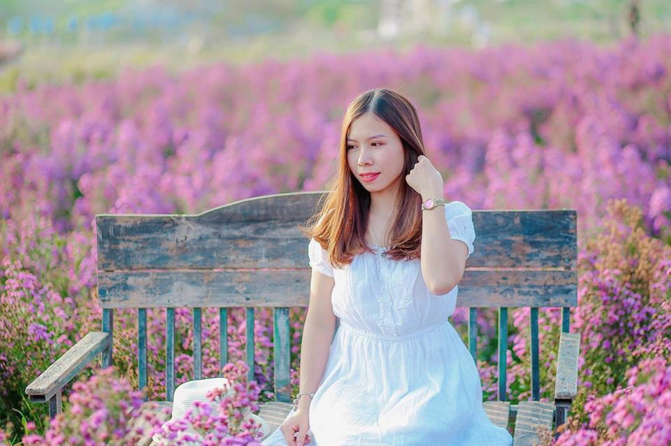 Tới đây bạn sẽ bị thu hút bởi sắc màu từ hoa cúc hoạ mi, hồng tố nữ, hoa súng tím, cho đến loài hoa thạch thảo lạ mắt... Tới đây bạn sẽ bị thu hút bởi sắc màu từ hoa cúc hoạ mi, hồng tố nữ, hoa súng tím, cho đến loài hoa thạch thảo lạ mắt...