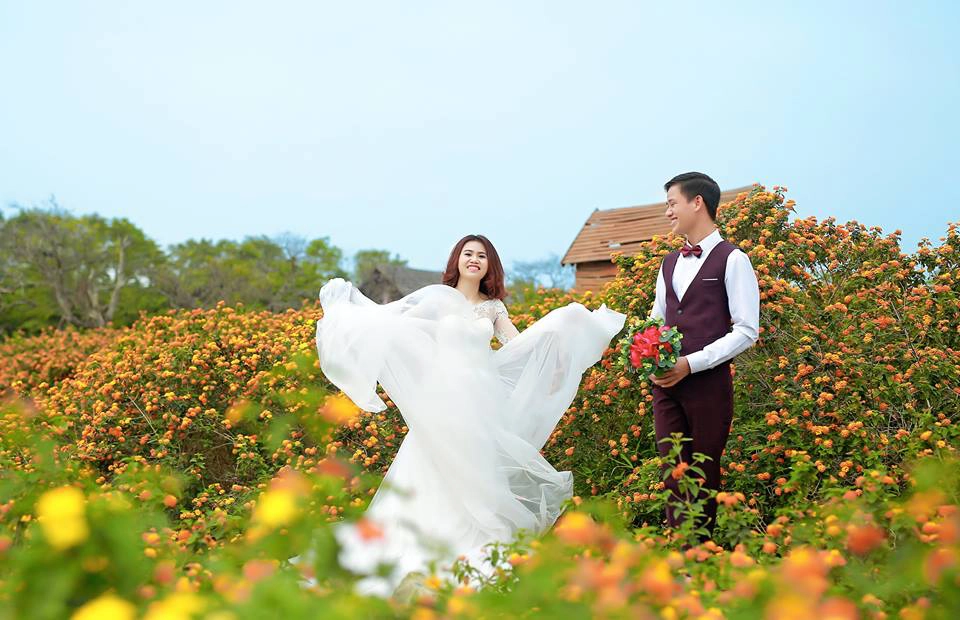 Nhiều cặp đôi cũng chọn nơi này để chụp ảnh cưới. Nhiều cặp đôi cũng chọn nơi này để chụp ảnh cưới.