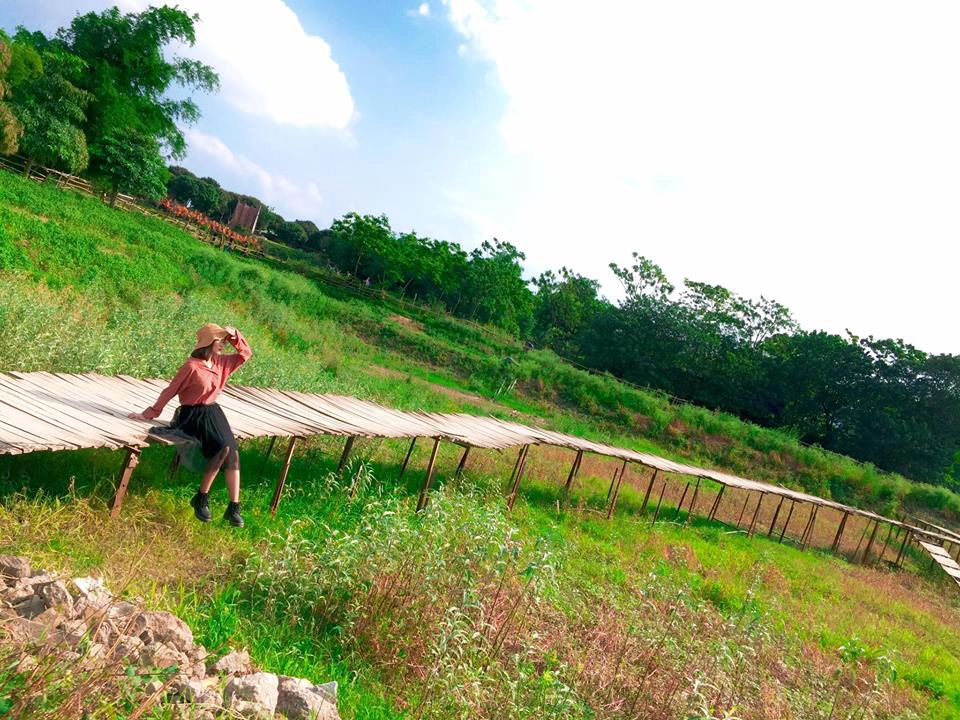 Để tới đây xuất phát từ đê Long Biên bạn đi theo hướng cầu Vĩnh Tuy vào khoảng 1,5km, rẽ phải vào phố Thạch Cầu khoảng 1km nữa là tới. Để tới đây xuất phát từ đê Long Biên bạn đi theo hướng cầu Vĩnh Tuy vào khoảng 1,5km, rẽ phải vào phố Thạch Cầu khoảng 1km nữa là tới.