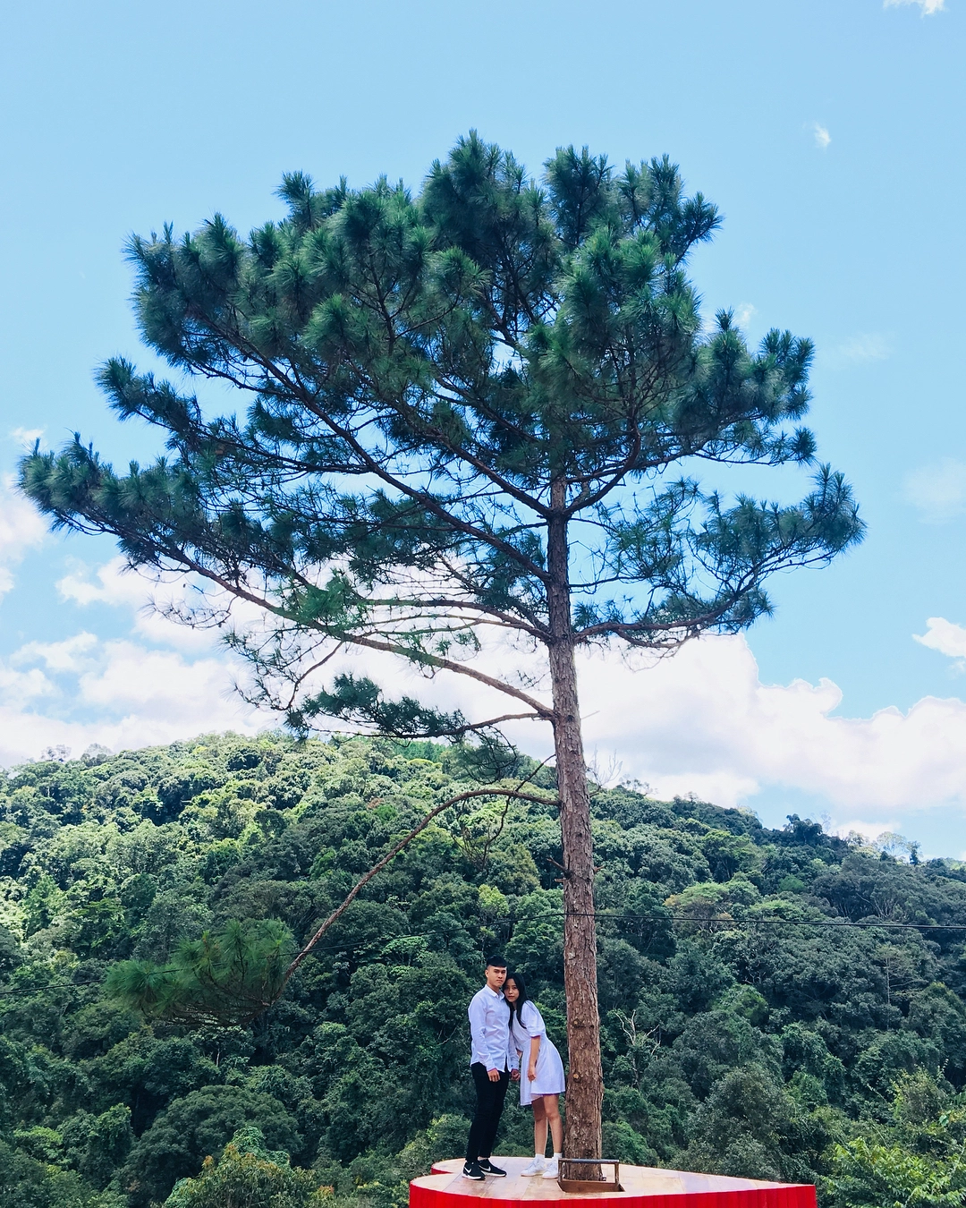 Ảnh: hpbcham Ảnh: hpbcham