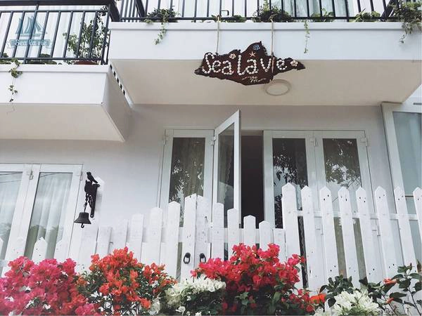 Ảnh: Sea La Vie Ảnh: Sea La Vie
