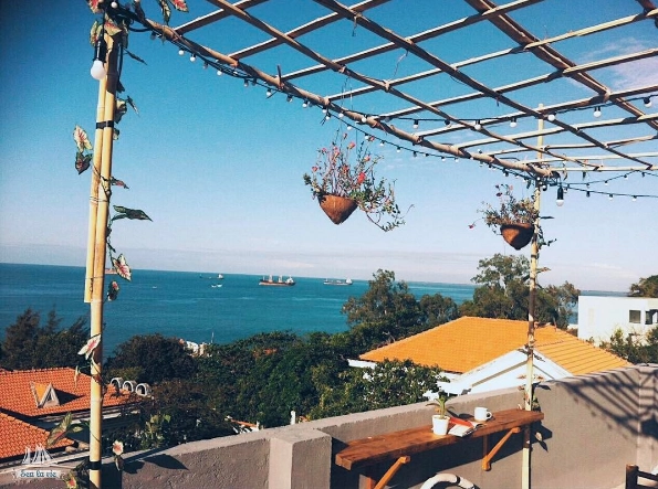 Ảnh: Sea La Vie Ảnh: Sea La Vie